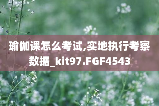燕郊來順義最新消息查詢政策，燕郊至順義政策更新及最新消息查詢