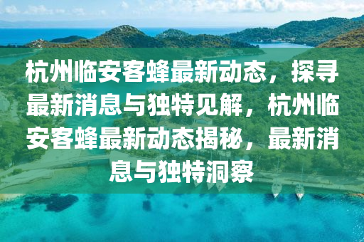 杭州臨安客蜂最新動(dòng)態(tài)，探尋最新消息與獨(dú)特見解，杭州臨安客蜂最新動(dòng)態(tài)揭秘，最新消息與獨(dú)特洞察