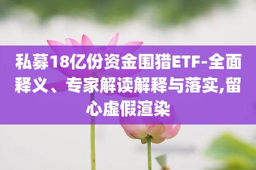 寧小球最新信息及其影響，新聞報道的視角與深度解析，寧小球最新動態(tài)，深度解析新聞報道的視角與影響