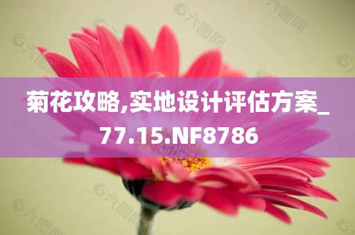 仁化長壩規(guī)劃最新消息，藍(lán)圖下的未來展望，仁化長壩規(guī)劃最新動(dòng)態(tài)，藍(lán)圖下的未來展望