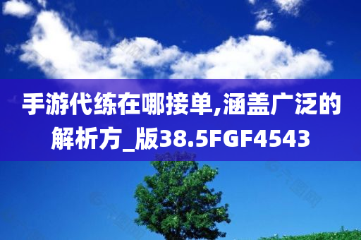 后裔的最新銘文，游戲內(nèi)外的深度解讀，后裔最新銘文深度解讀，游戲內(nèi)外全面剖析