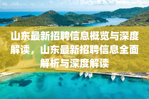 山東最新招聘信息概覽與深度解讀，山東最新招聘信息全面解析與深度解讀
