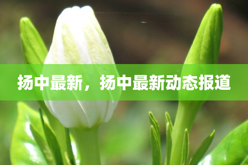 新澳與香港今晚開(kāi)一肖一特預(yù)測(cè)跟管家婆三期必開(kāi)一期精準(zhǔn)預(yù)測(cè)創(chuàng)新分析、專家解讀解釋與落實(shí)-謹(jǐn)防虛假標(biāo)榜手段四川好木優(yōu)材家居有限公司