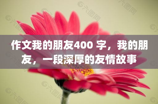 2025年最新資料大全官網(wǎng)入口和新門跟香港最精準(zhǔn)最精準(zhǔn)免費:實用釋義、專家解讀解釋與落實,留心虛假推廣危害